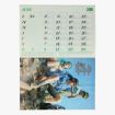 Afbeeldingen van Kalender Tintin & Scouts 1980