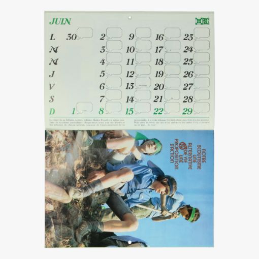 Afbeeldingen van Kalender Tintin & Scouts 1980
