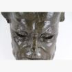 Afbeeldingen van Groot antiek hoofd uit de oudheid in plaaster