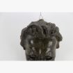 Afbeeldingen van Groot antiek hoofd uit de oudheid in plaaster