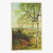 Afbeeldingen van Landschap. Postkaart 703. Photo-Chromie