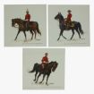 Afbeeldingen van royal canadian mounted police 1979