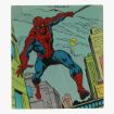 Afbeeldingen van little lp the amazing spiderman